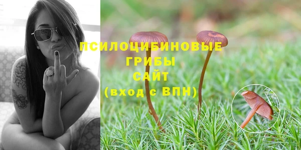 прущий лед Алзамай